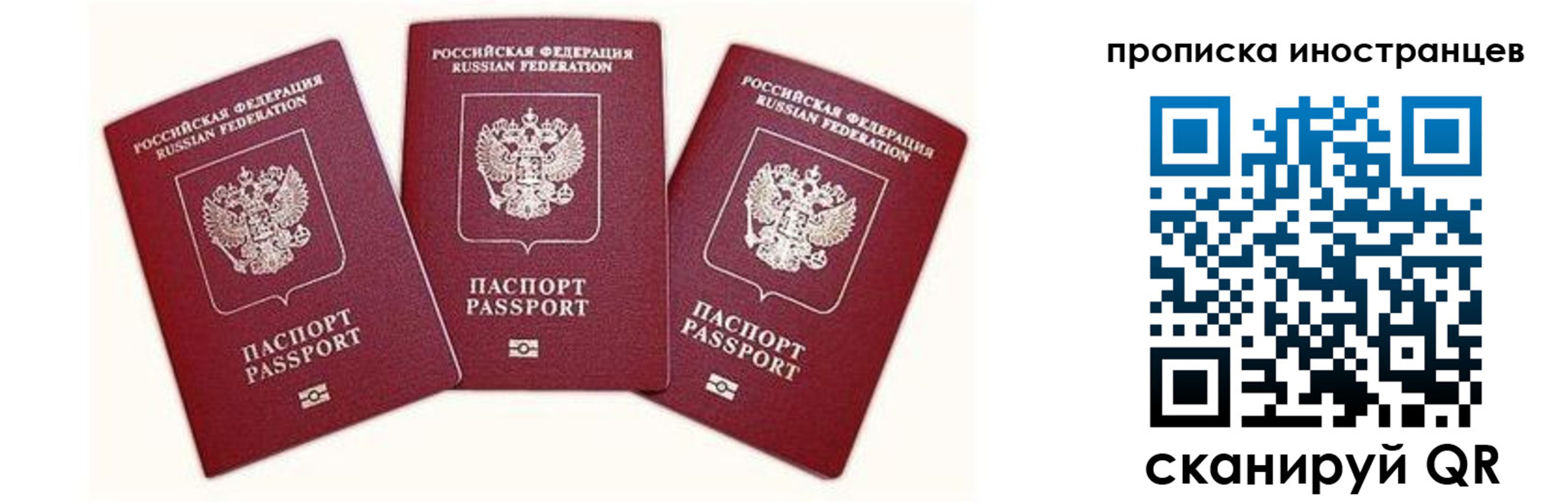 прописка в Каменке